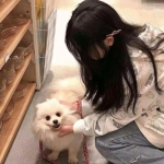 莽荒妖纪劲风版下载